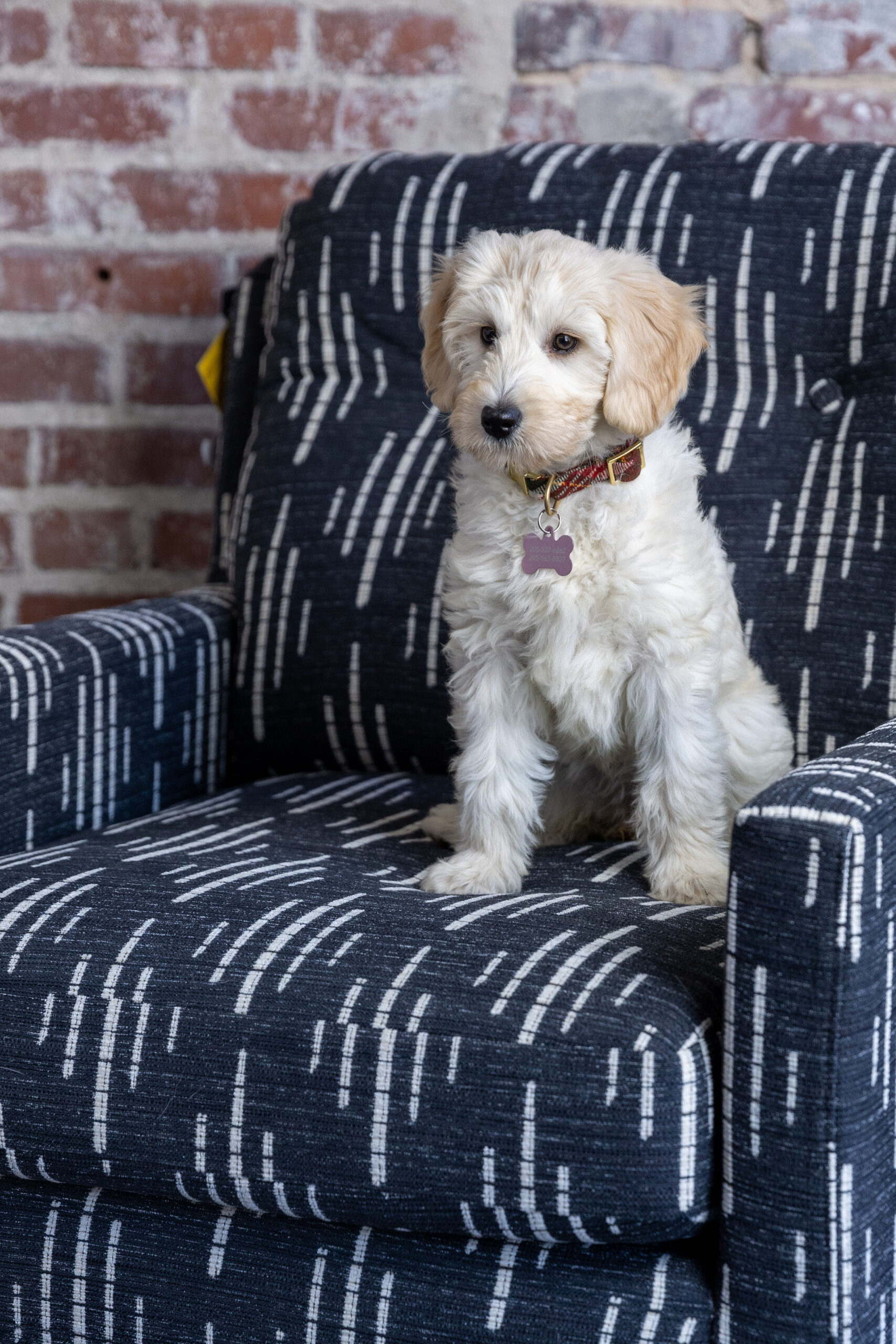 About Lindsey Office Furniture